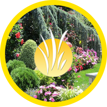 About Paccione & Sons landscape design services icon