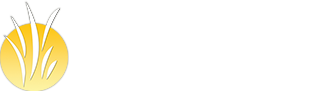 Paccione & Sons