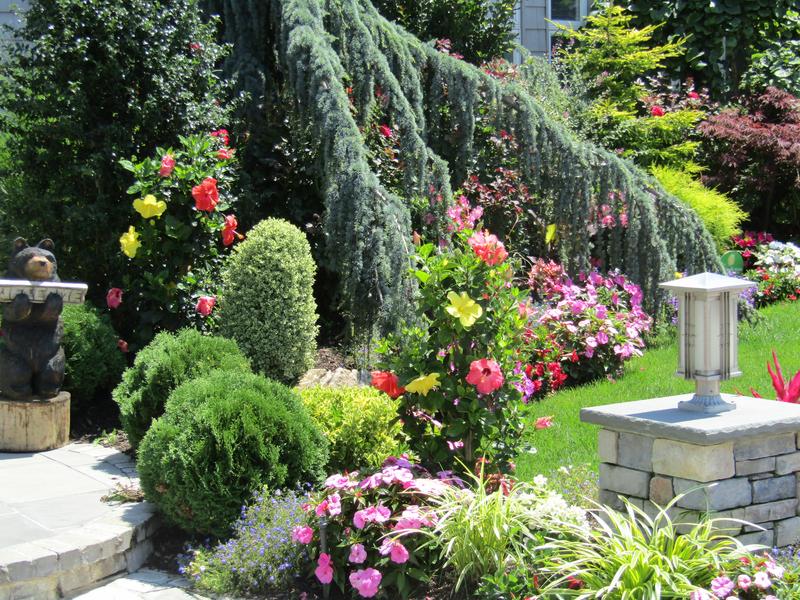 Garden and backyard design idea with Paccione landscaping